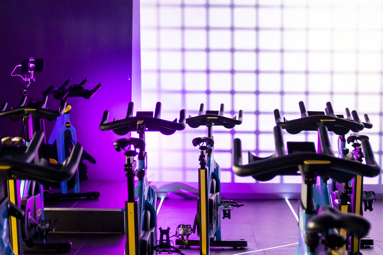 Séance photo d'entreprise réalisée par Aurélie Rivière, photographe professionnelle à l'Ile de la Réunion