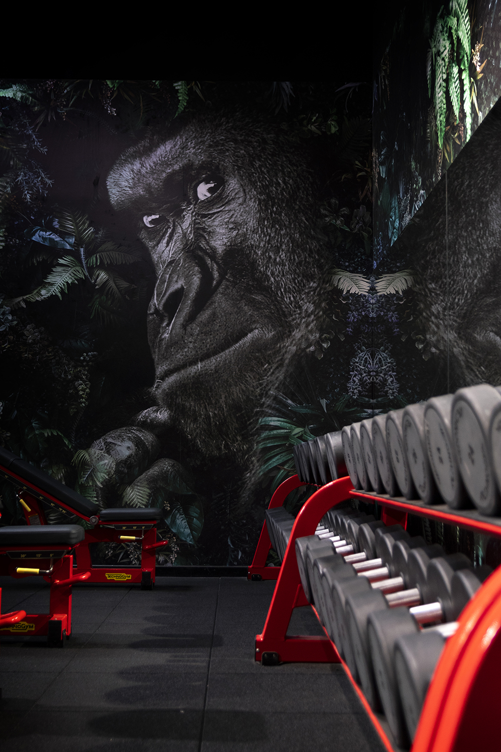 Séance photo d'entreprise réalisée par Aurélie Rivière, photographe professionnelle à l'Ile de la Réunion