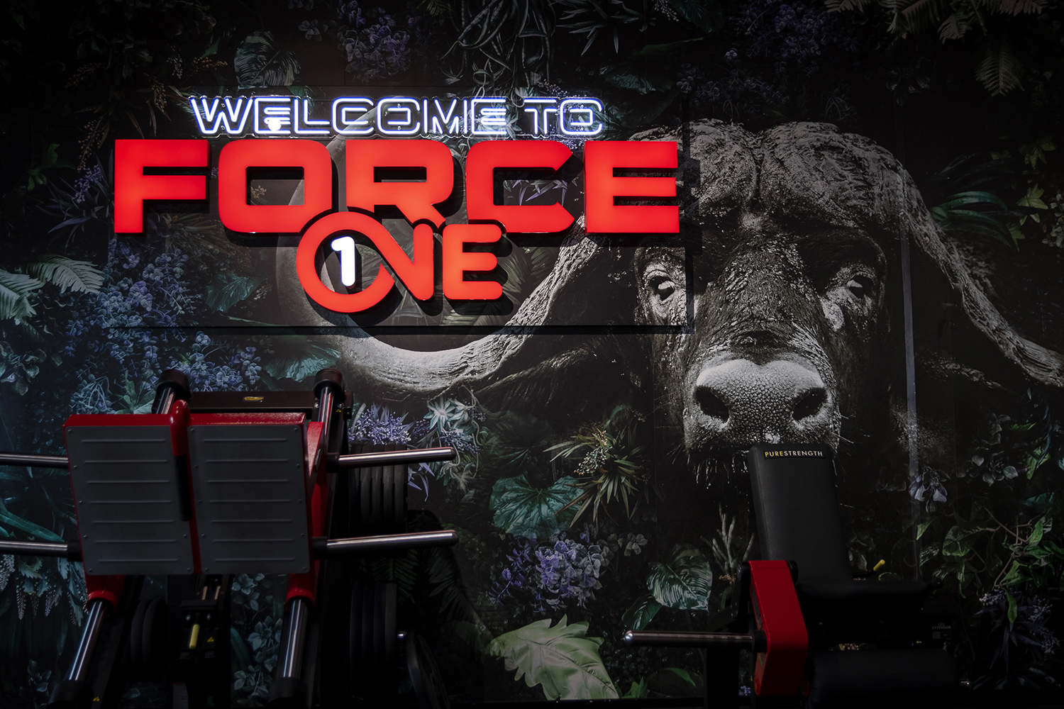 Séance photo d'entreprise réalisée par Aurélie Rivière, photographe professionnelle à l'Ile de la Réunion