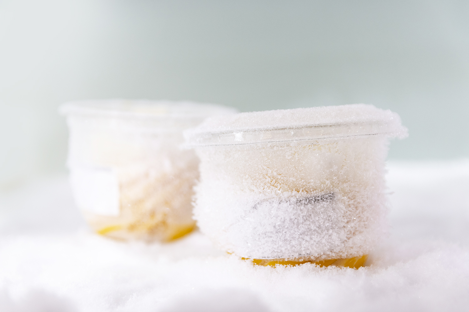 Pack-shot de produit réalisé par Aurélie Rivière, photographe à l'Ile de la Réunion