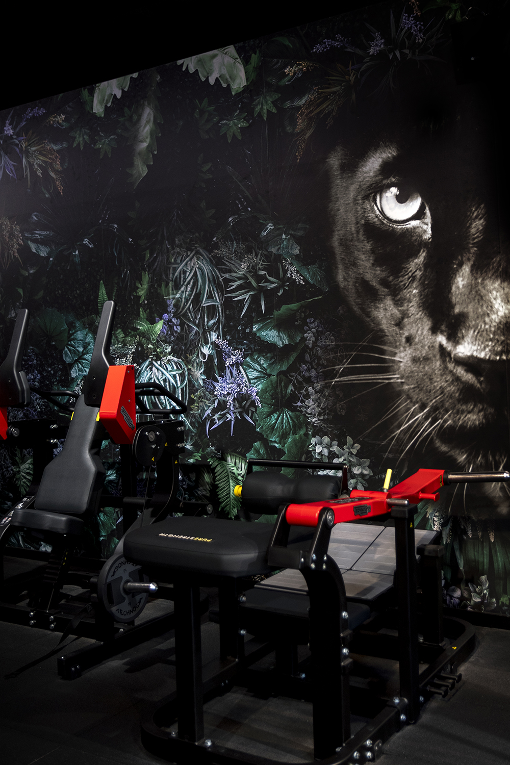 Séance photo d'entreprise réalisée par Aurélie Rivière, photographe professionnelle à l'Ile de la Réunion