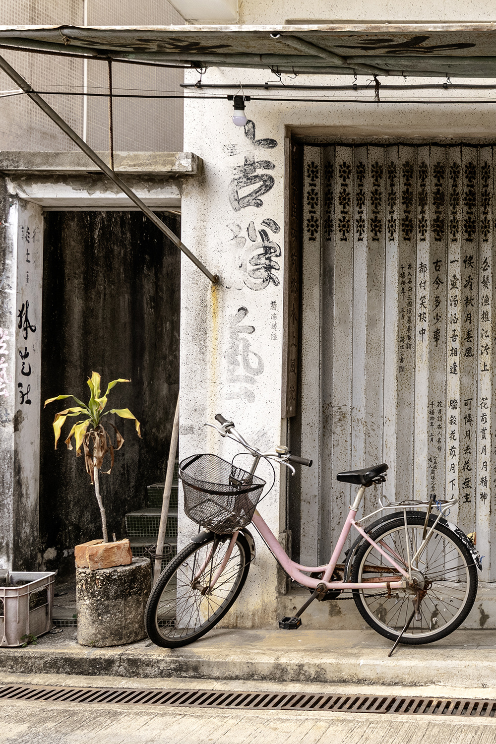 Aurélie Rivière, photographe professionnelle à l'Ile de la Réunion