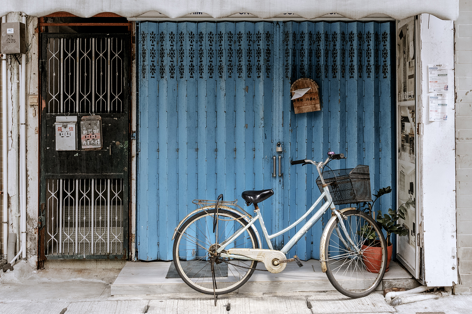 Aurélie Rivière, photographe professionnelle à l'Ile de la Réunion