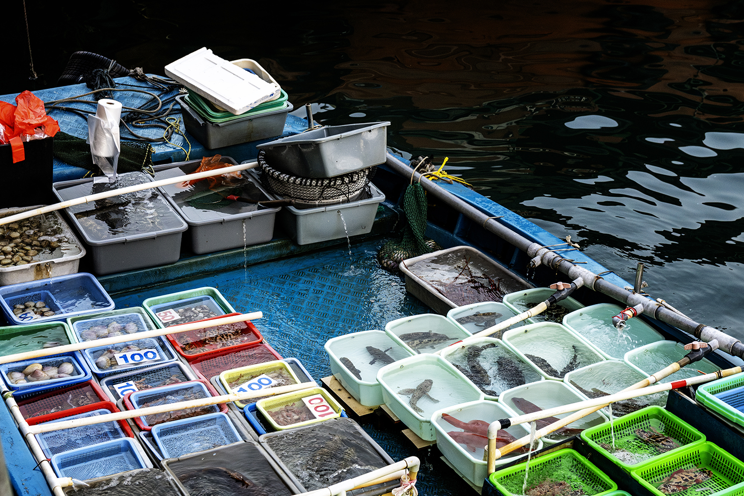 Aurélie Rivière, photographe professionnelle à l'Ile de la Réunion