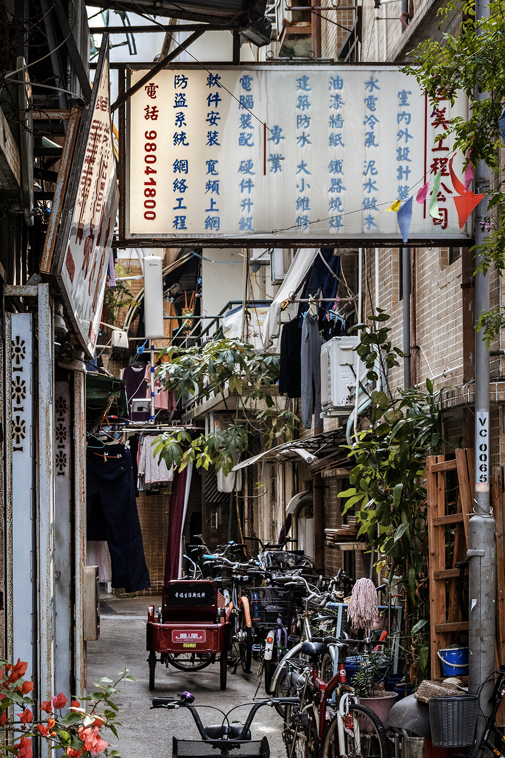 Aurélie Rivière, photographe professionnelle à l'Ile de la Réunion