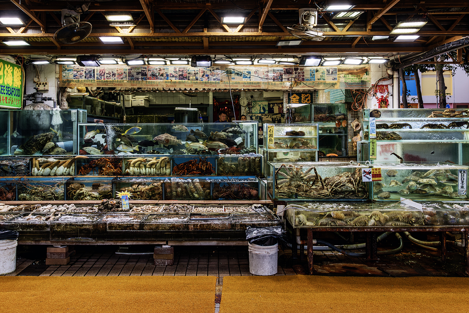Aurélie Rivière, photographe professionnelle à l'Ile de la Réunion
