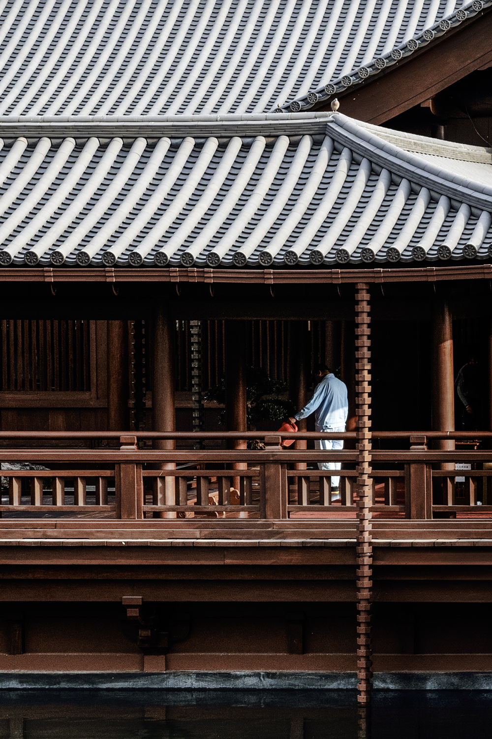 Aurélie Rivière, photographe professionnelle à l'Ile de la Réunion