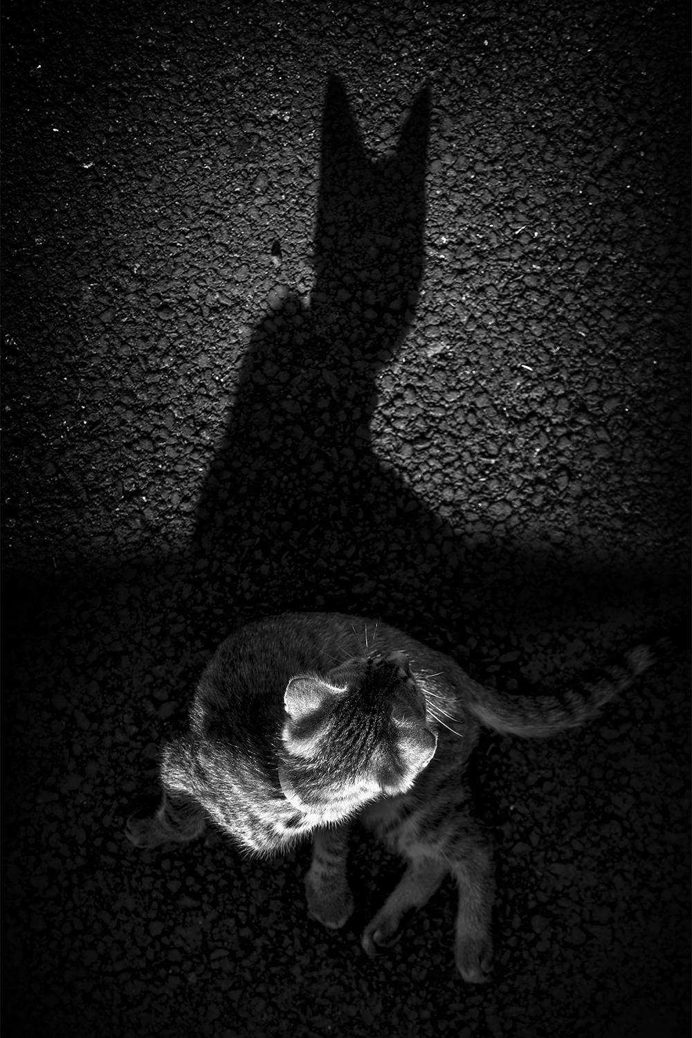 Photographie par Aurélie Rivière, photographe professionnelle à l'Ile de la Réunion