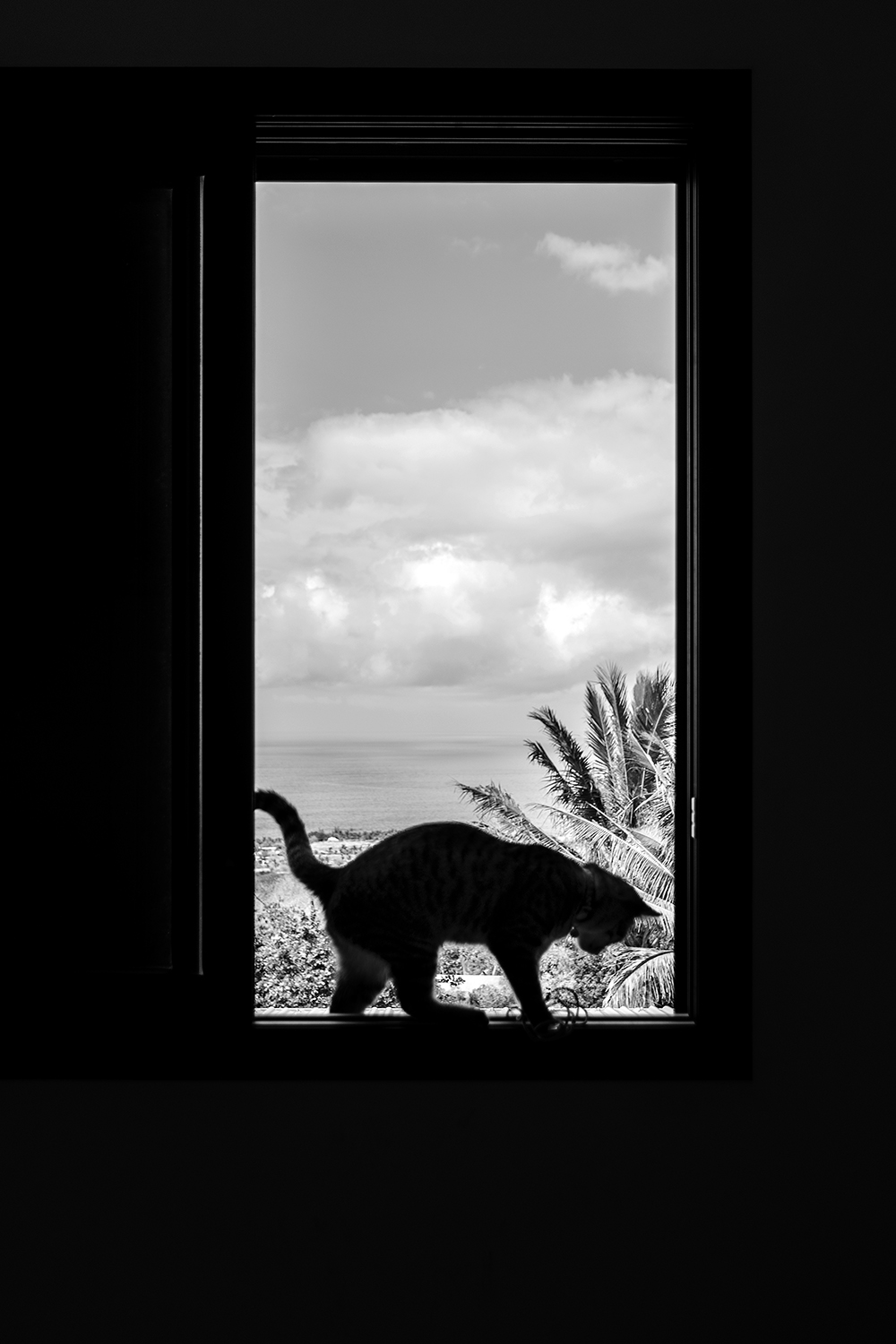 Photographie par Aurélie Rivière, photographe professionnelle à l'Ile de la Réunion