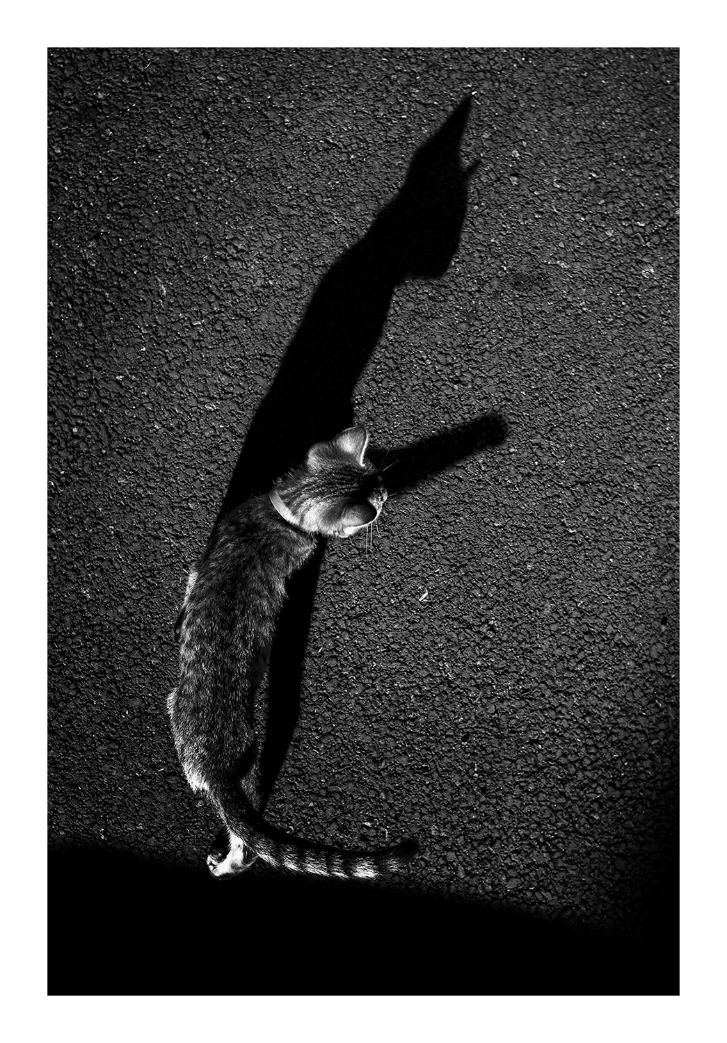 Photographie par Aurélie Rivière, photographe professionnelle à l'Ile de la Réunion