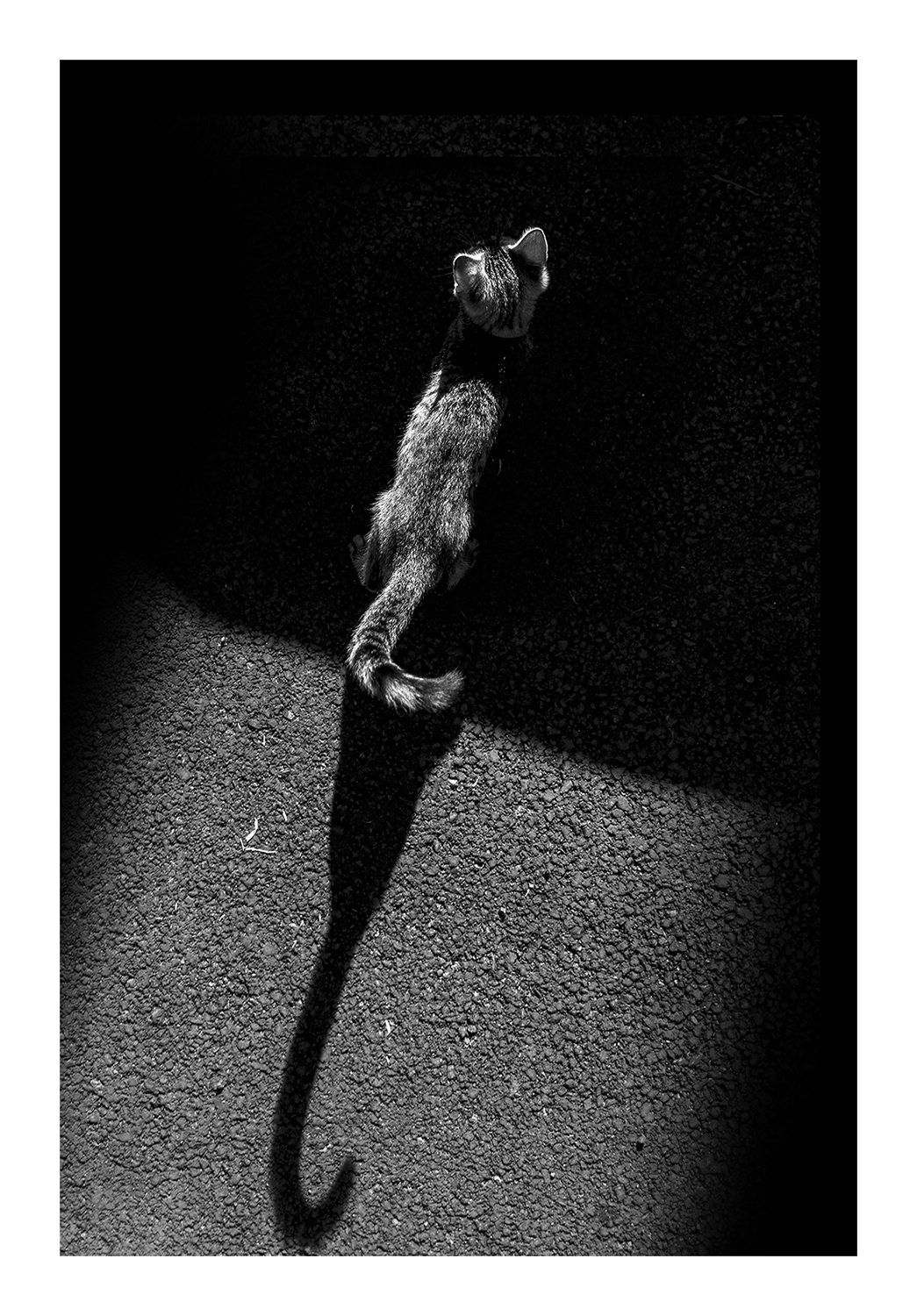 Photographie par Aurélie Rivière, photographe professionnelle à l'Ile de la Réunion