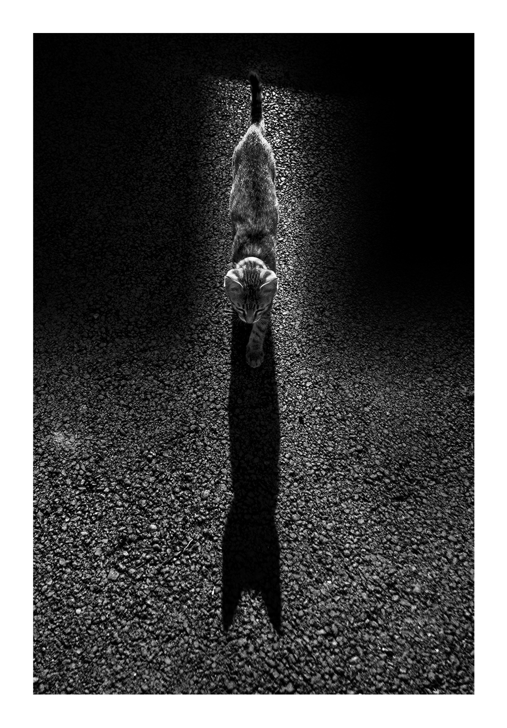 Photographie par Aurélie Rivière, photographe professionnelle à l'Ile de la Réunion