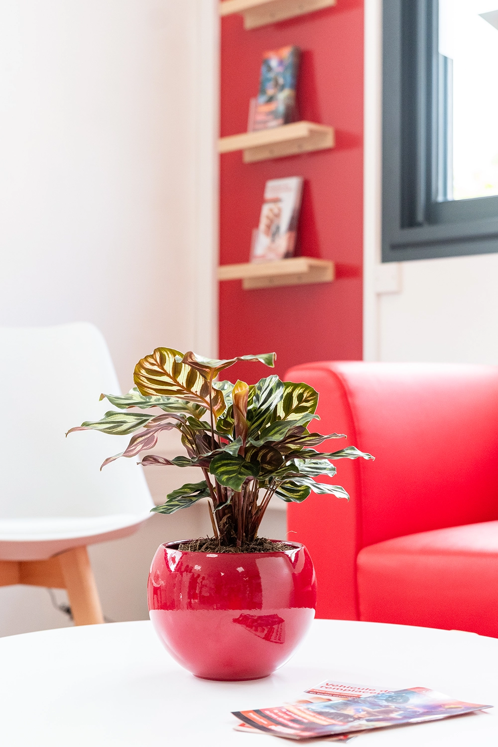 Séance photo d'entreprise réalisée par Aurélie Rivière, photographe professionnelle à l'Ile de la Réunion