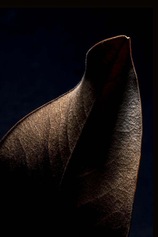 Aurélie Rivière, photographe professionnelle à l'Ile de la Réunion