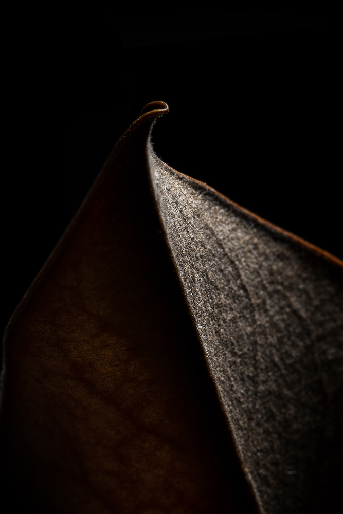 Aurélie Rivière, photographe professionnelle à l'Ile de la Réunion