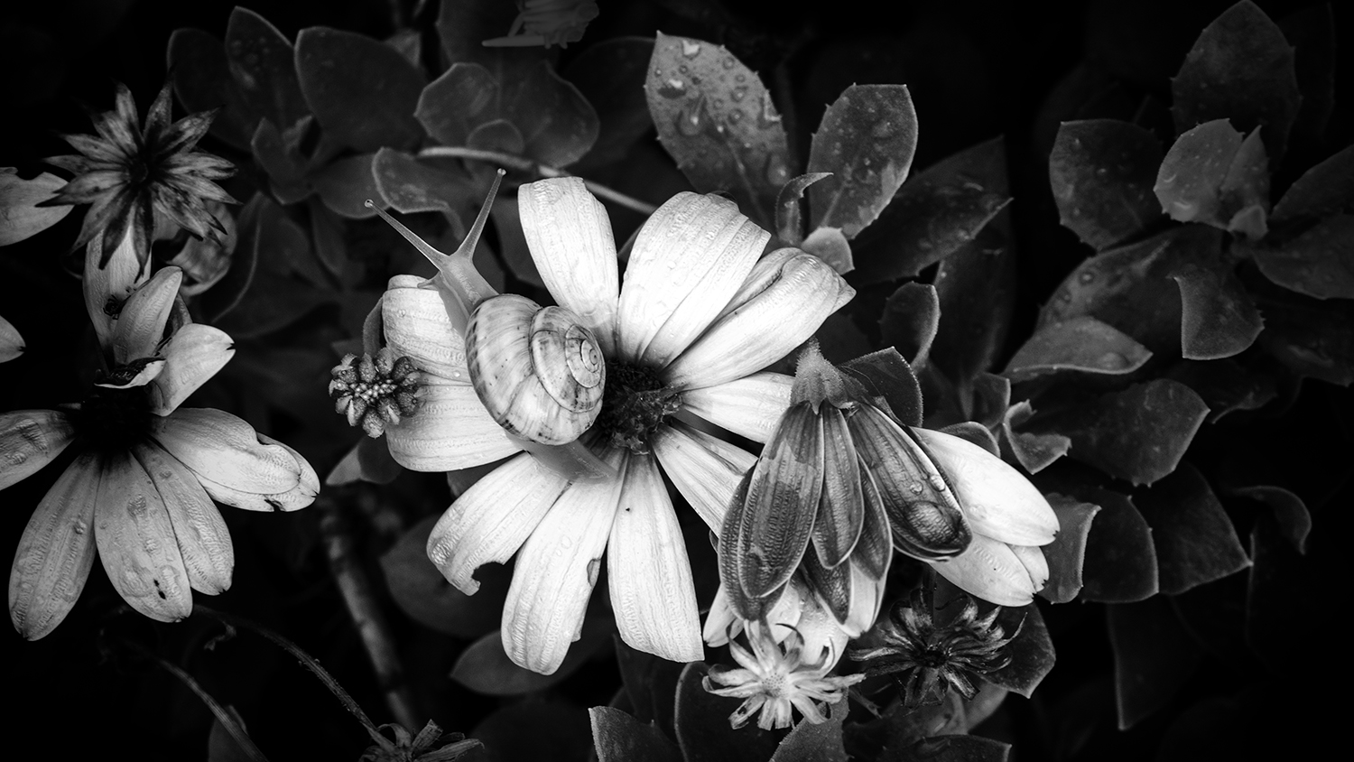 Aurélie Rivière, photographe professionnelle à l'Ile de la Réunion