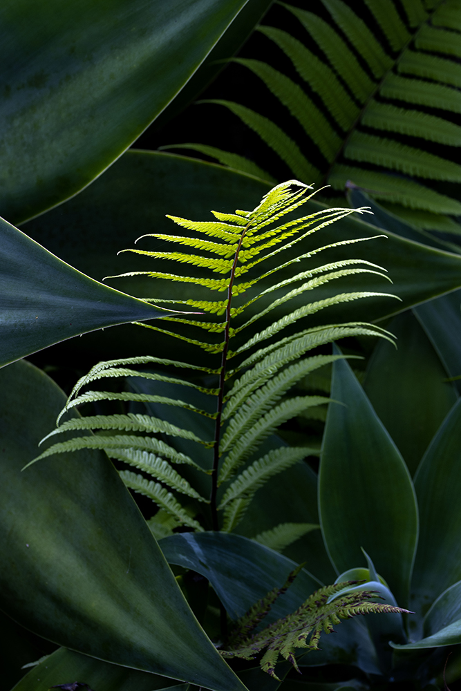 Aurélie Rivière, photographe professionnelle à l'Ile de la Réunion