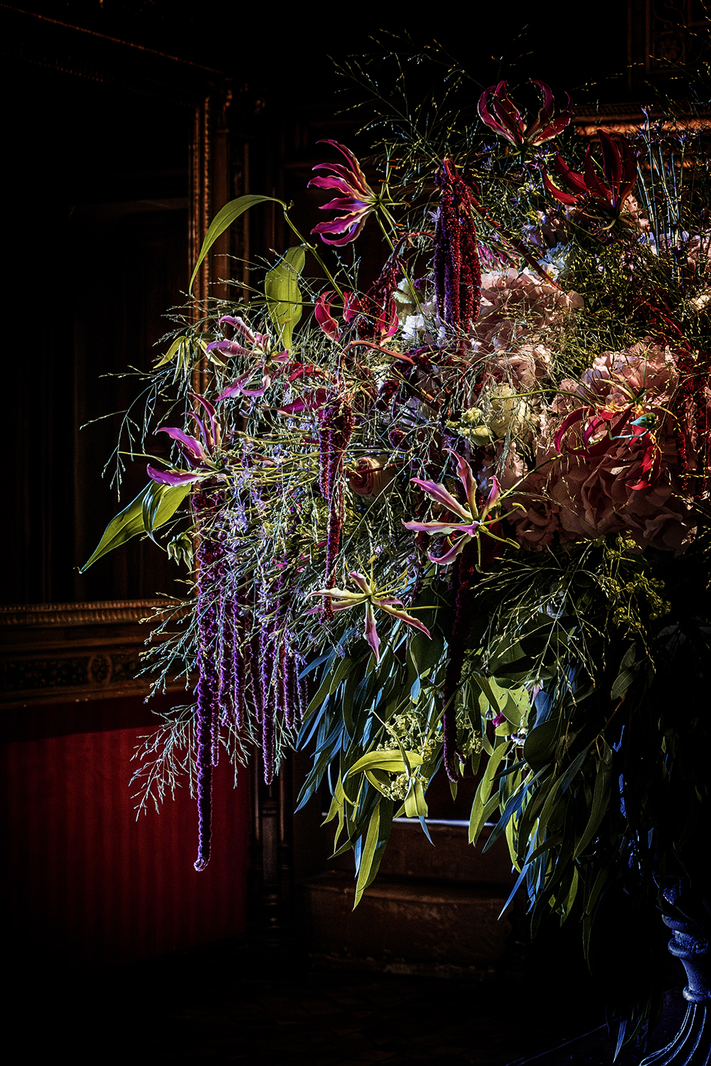 Aurélie Rivière, photographe professionnelle à l'Ile de la Réunion