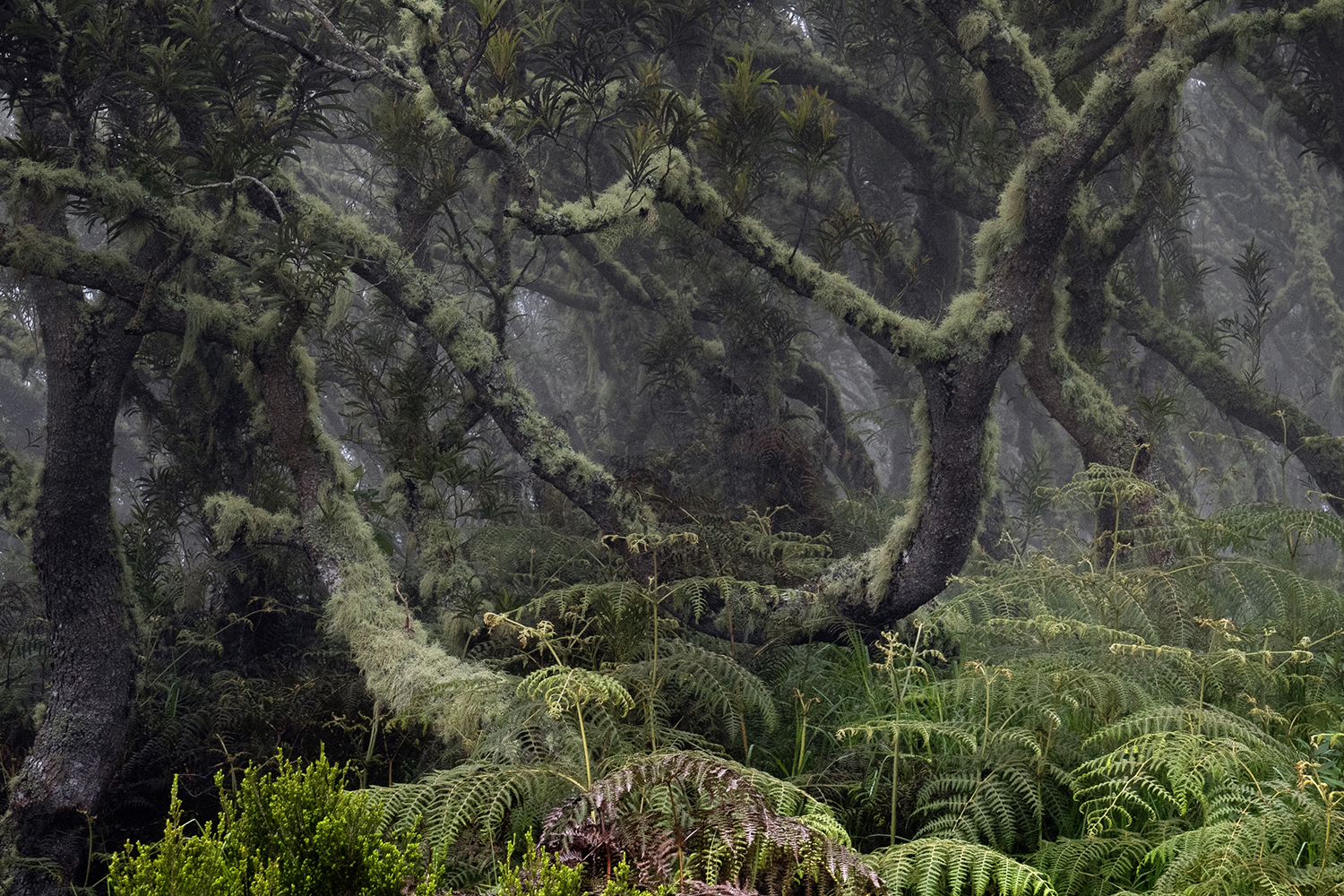 Aurélie Rivière, photographe professionnelle à l'Ile de la Réunion