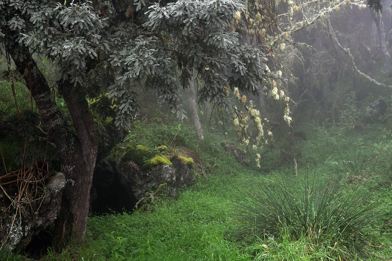 Aurélie Rivière, photographe professionnelle à l'Ile de la Réunion