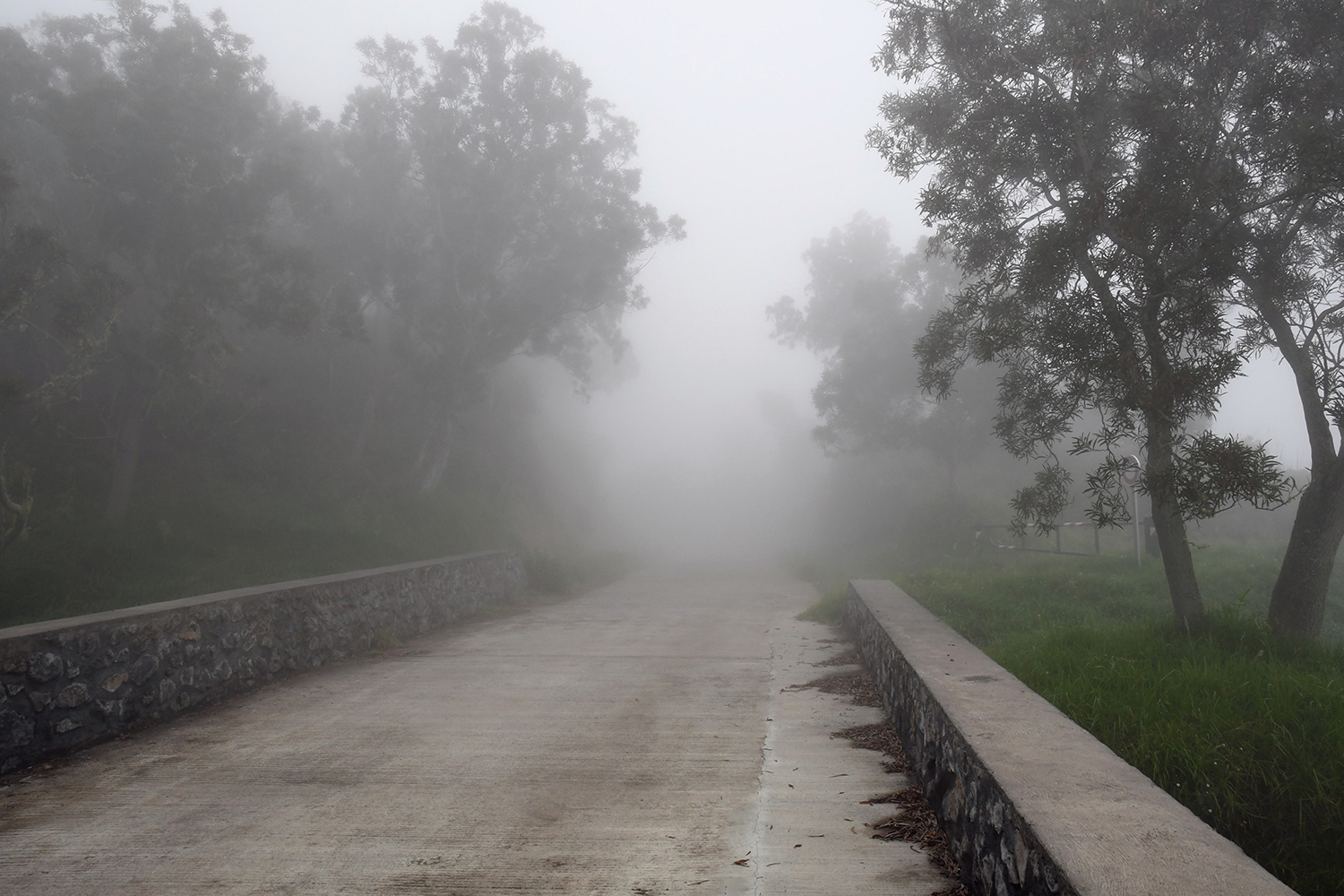Aurélie Rivière, photographe professionnelle à l'Ile de la Réunion