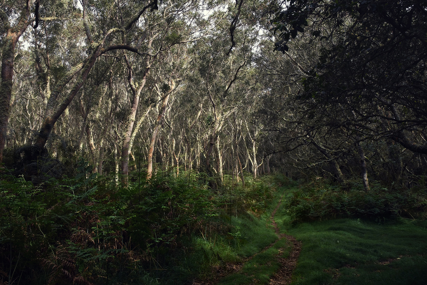 Aurélie Rivière, photographe professionnelle à l'Ile de la Réunion