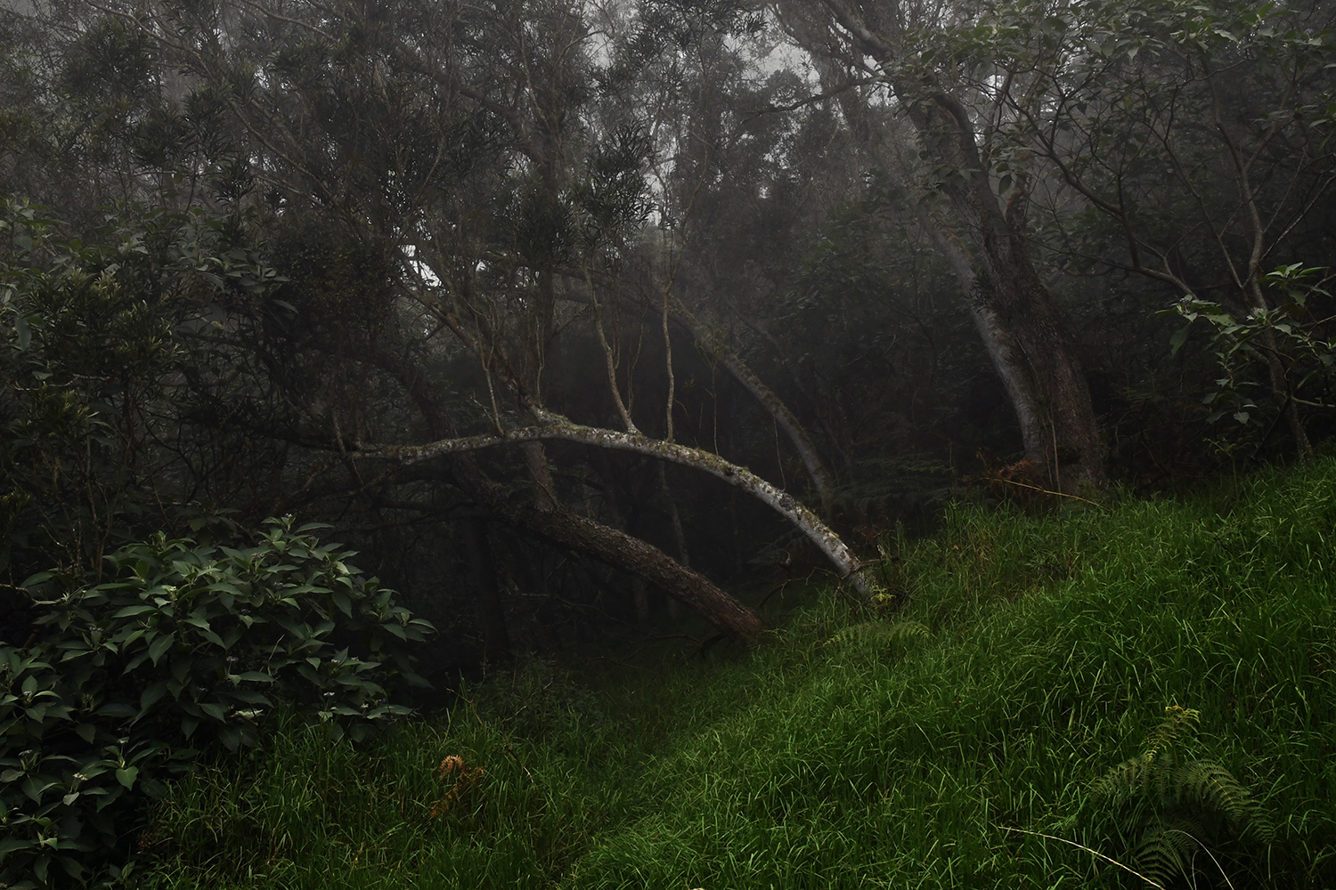 Aurélie Rivière, photographe professionnelle à l'Ile de la Réunion