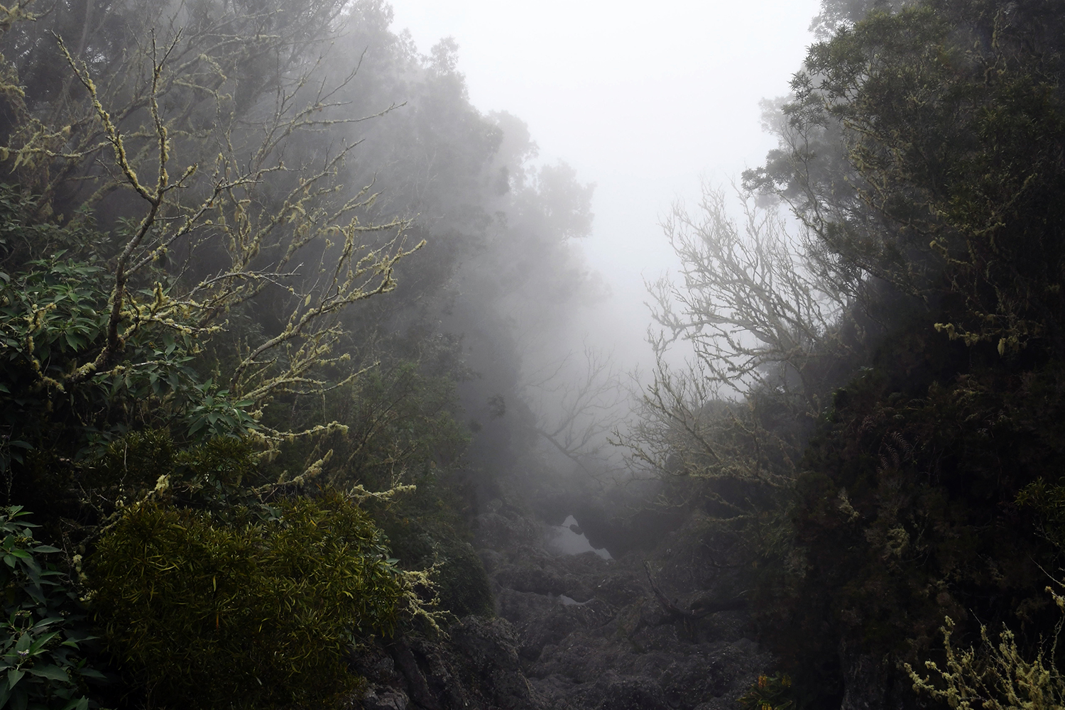 Aurélie Rivière, photographe professionnelle à l'Ile de la Réunion