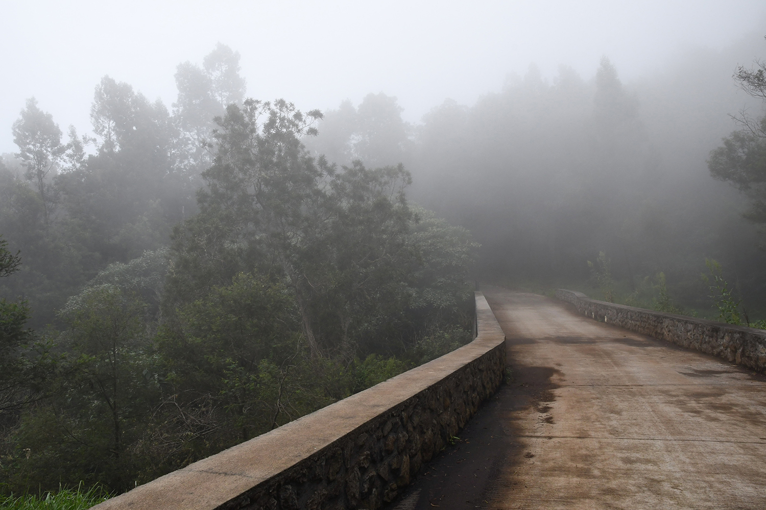 Aurélie Rivière, photographe professionnelle à l'Ile de la Réunion