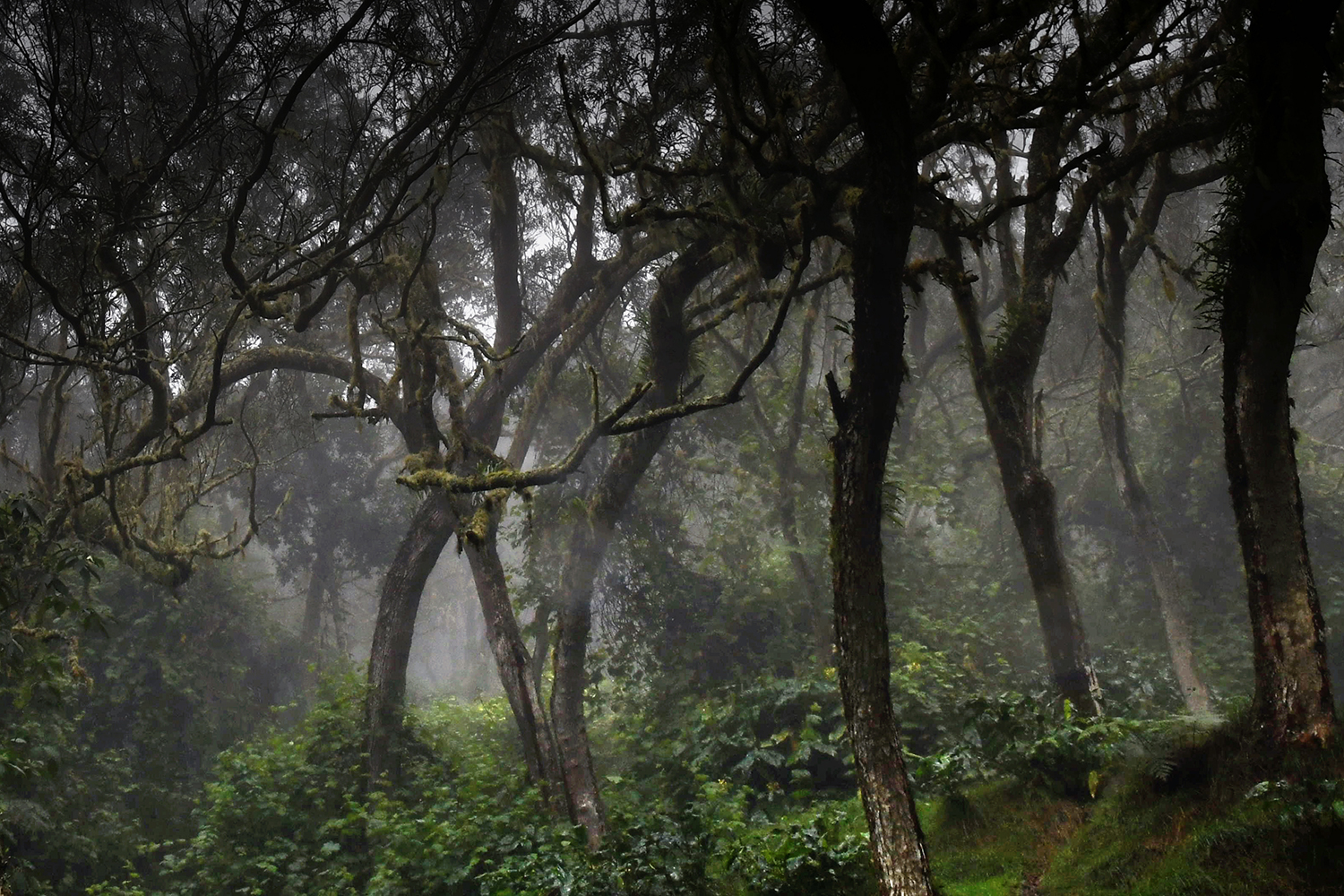 Aurélie Rivière, photographe professionnelle à l'Ile de la Réunion