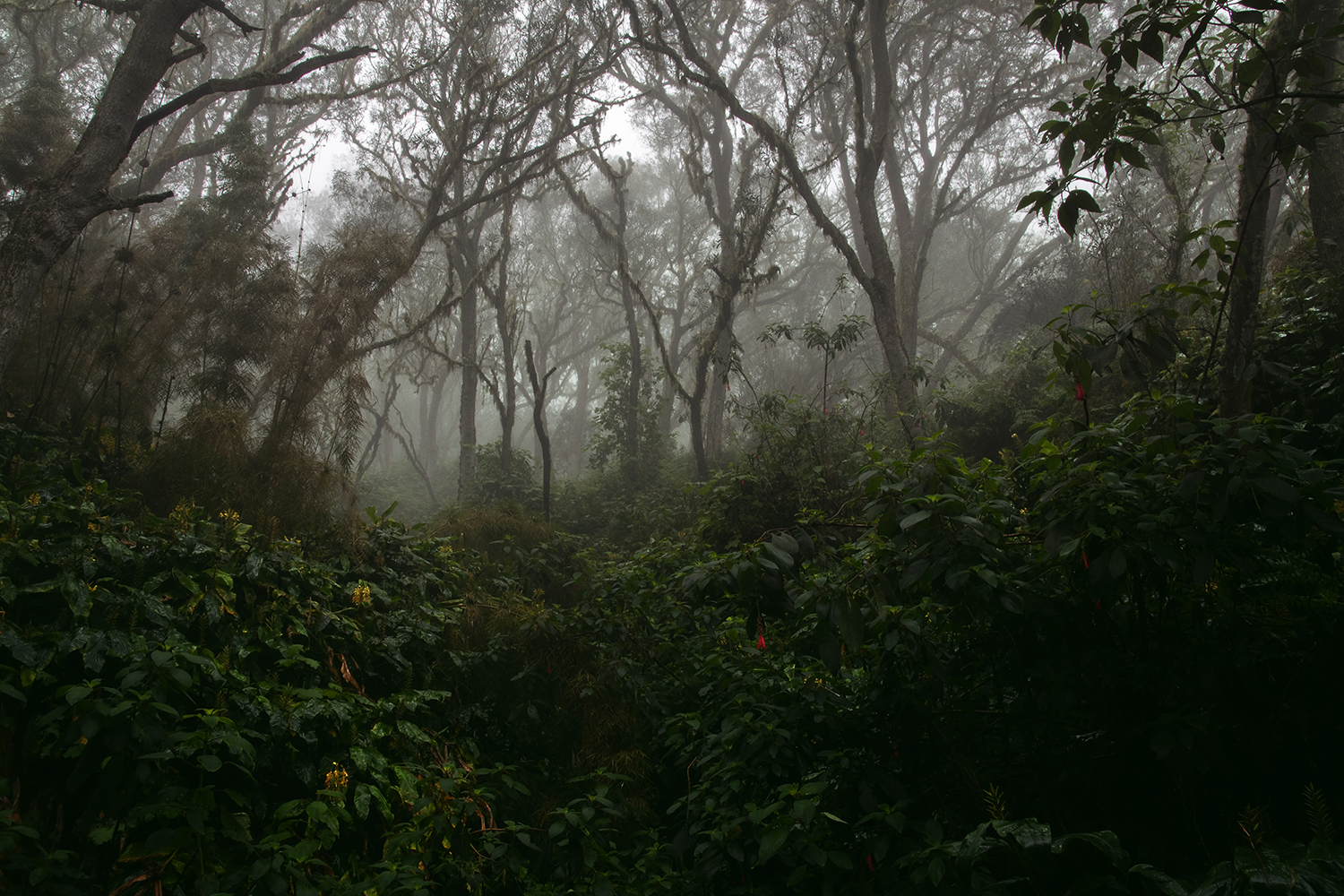 Aurélie Rivière, photographe professionnelle à l'Ile de la Réunion
