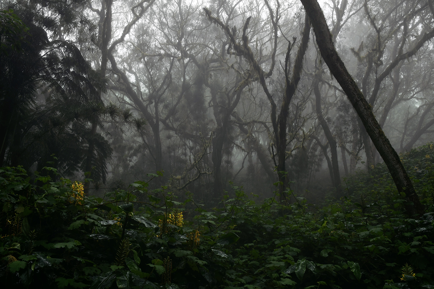 Aurélie Rivière, photographe professionnelle à l'Ile de la Réunion
