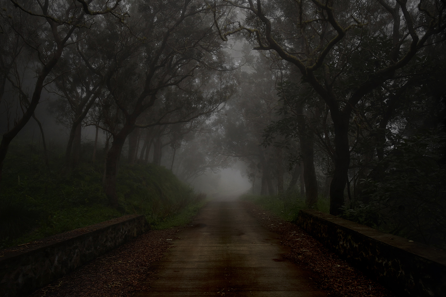 Aurélie Rivière, photographe professionnelle à l'Ile de la Réunion