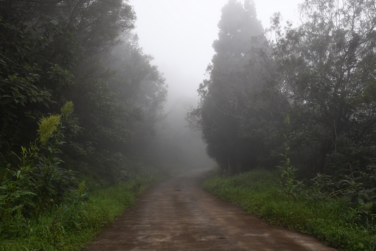 Aurélie Rivière, photographe professionnelle à l'Ile de la Réunion