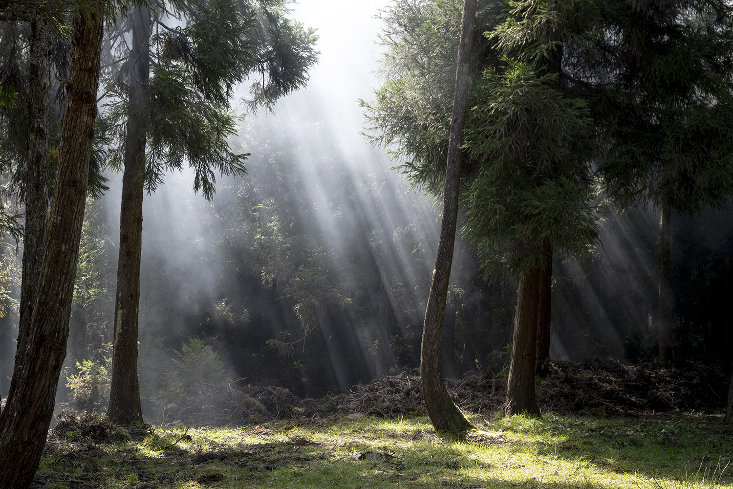 Photographie par Aurélie Rivière, photographe professionnelle à l'Ile de la Réunion