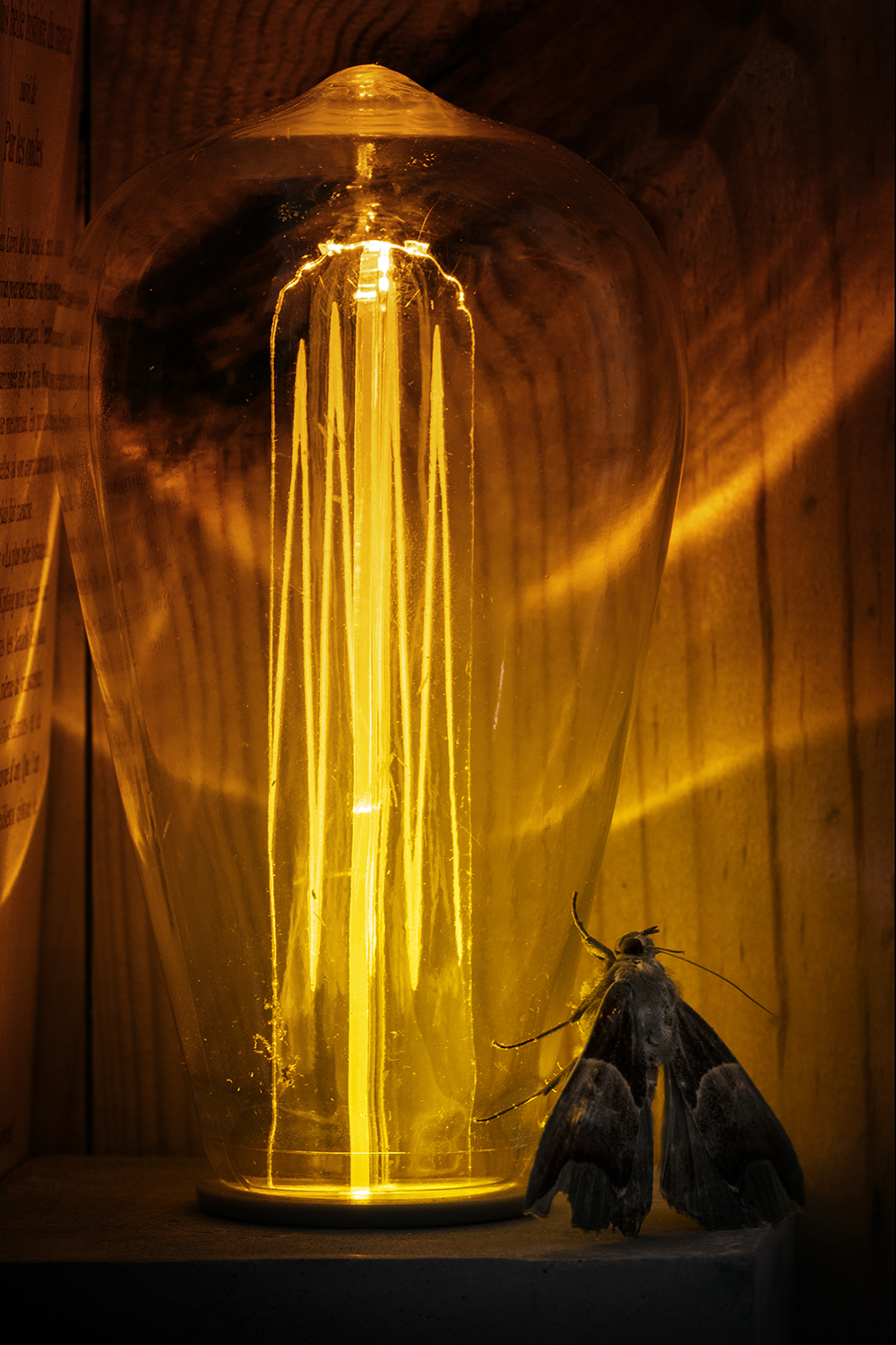 Aurélie Rivière, photographe professionnelle à l'Ile de la Réunion