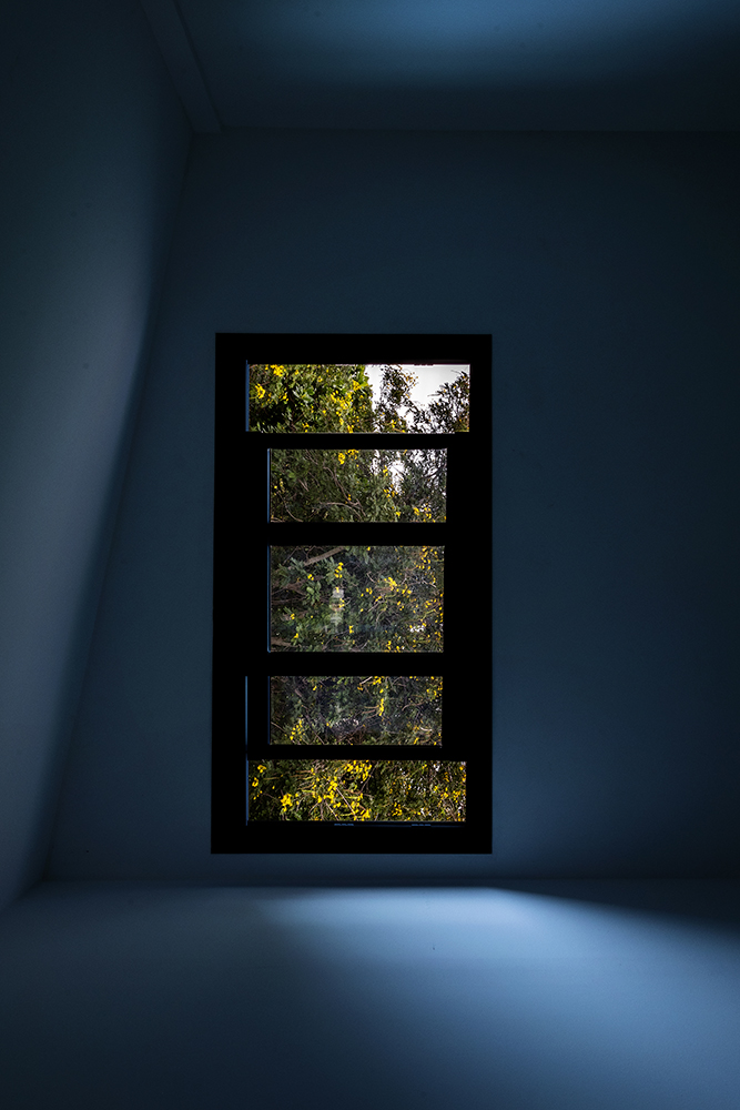 Photographie par Aurélie Rivière, photographe professionnelle à l'Ile de la Réunion