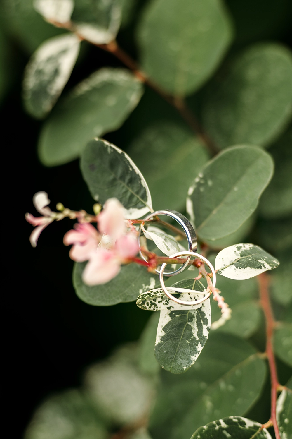 Portrait de mariage par Aurélie Rivière, photographe professionnelle à l'Ile de la Réunion