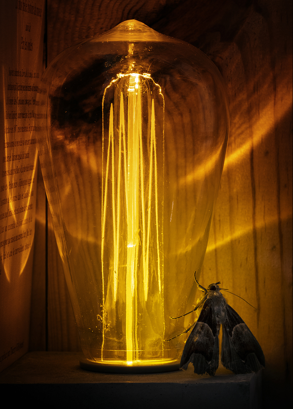 Photographie par Aurélie Rivière, photographe professionnelle à l'Ile de la Réunion