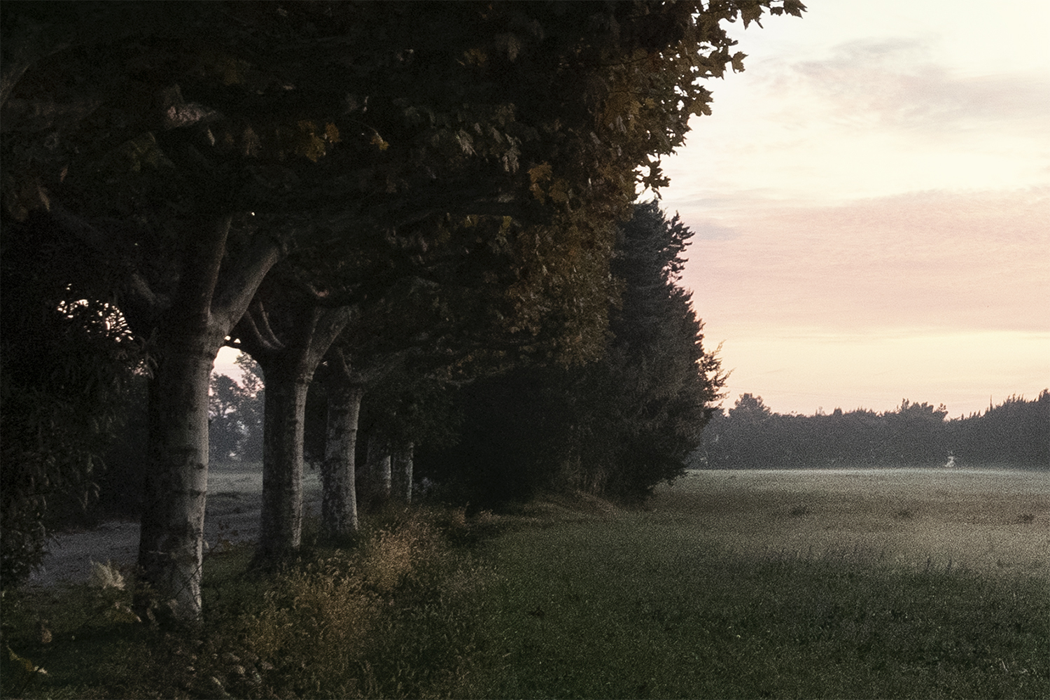 Photographie par Aurélie Rivière, photographe professionnelle à l'Ile de la Réunion