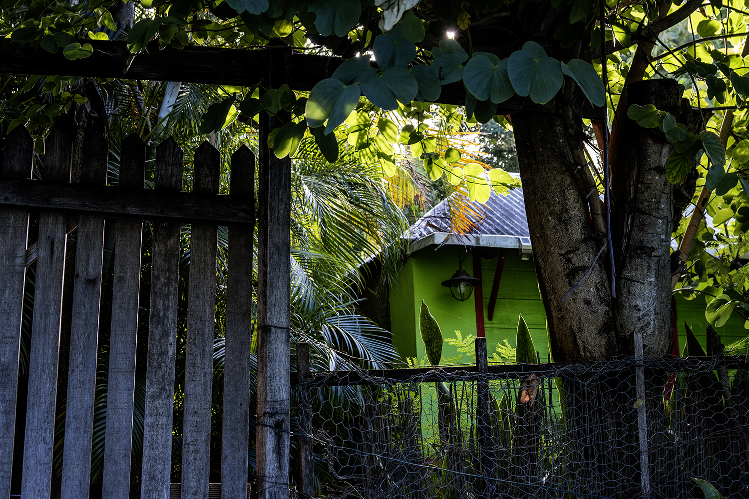 Aurélie Rivière, photographe professionnelle à l'Ile de la Réunion