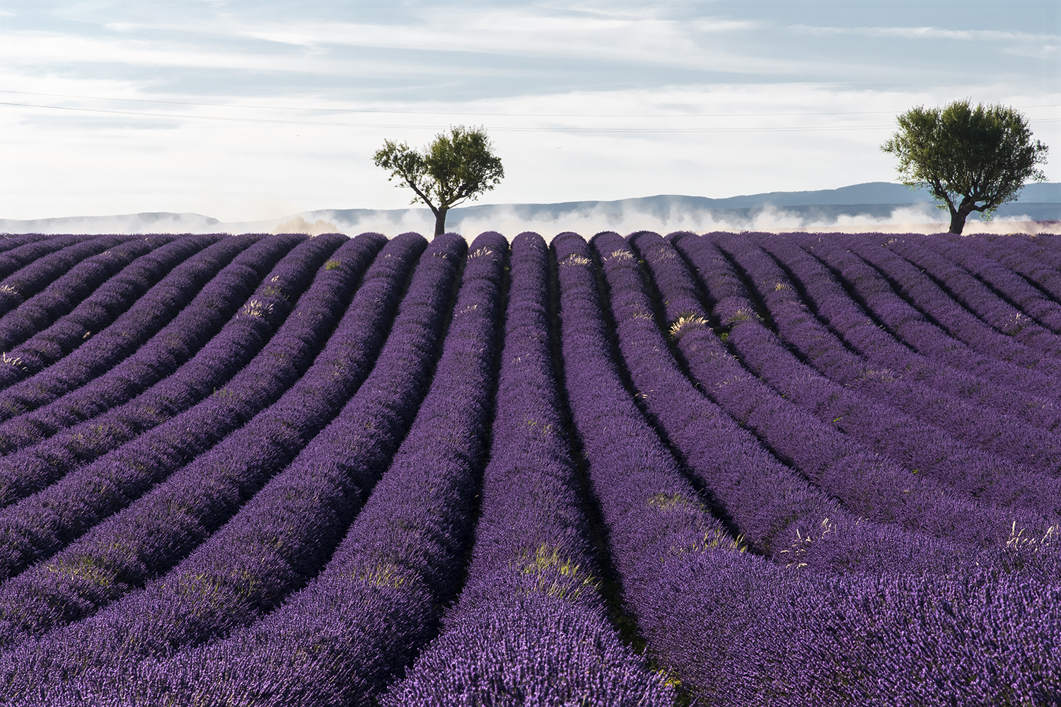 Photographie par Aurélie Rivière, photographe professionnelle à l'Ile de la Réunion
