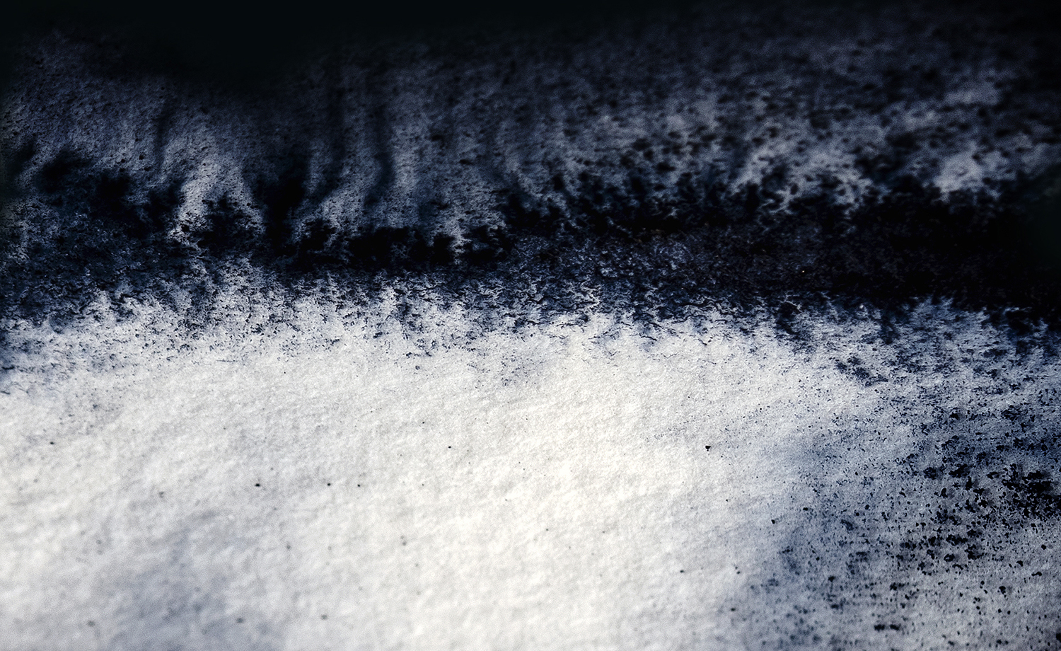 Photographie par Aurélie Rivière, photographe professionnelle à l'Ile de la Réunion