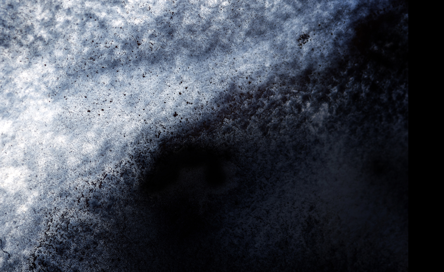 Photographie par Aurélie Rivière, photographe professionnelle à l'Ile de la Réunion