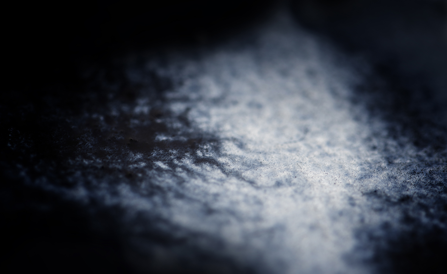 Photographie par Aurélie Rivière, photographe professionnelle à l'Ile de la Réunion