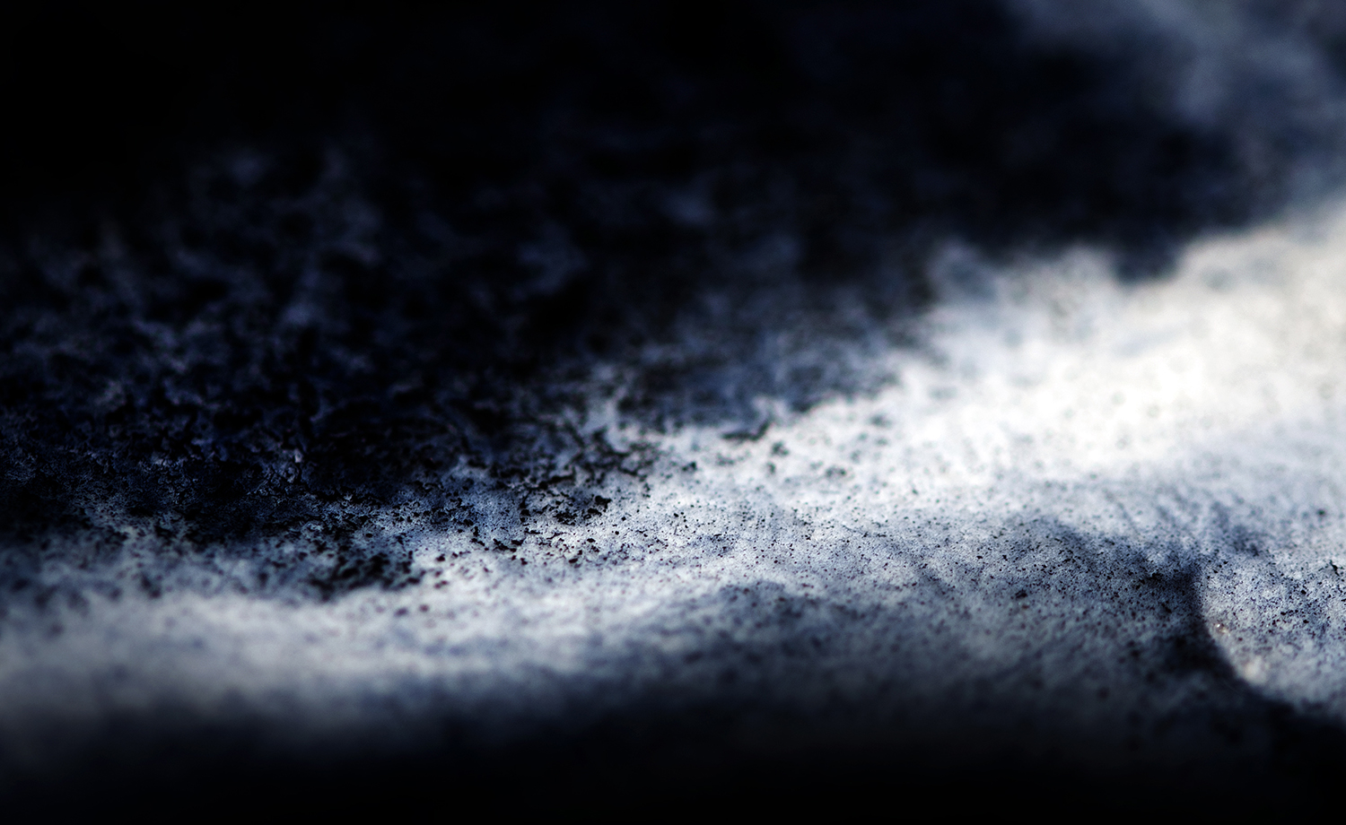 Photographie par Aurélie Rivière, photographe professionnelle à l'Ile de la Réunion