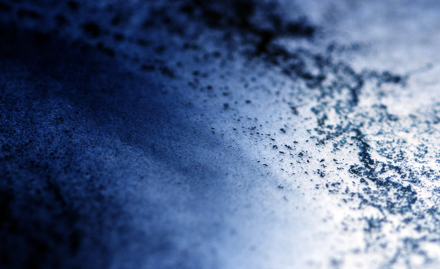 Photographie par Aurélie Rivière, photographe professionnelle à l'Ile de la Réunion