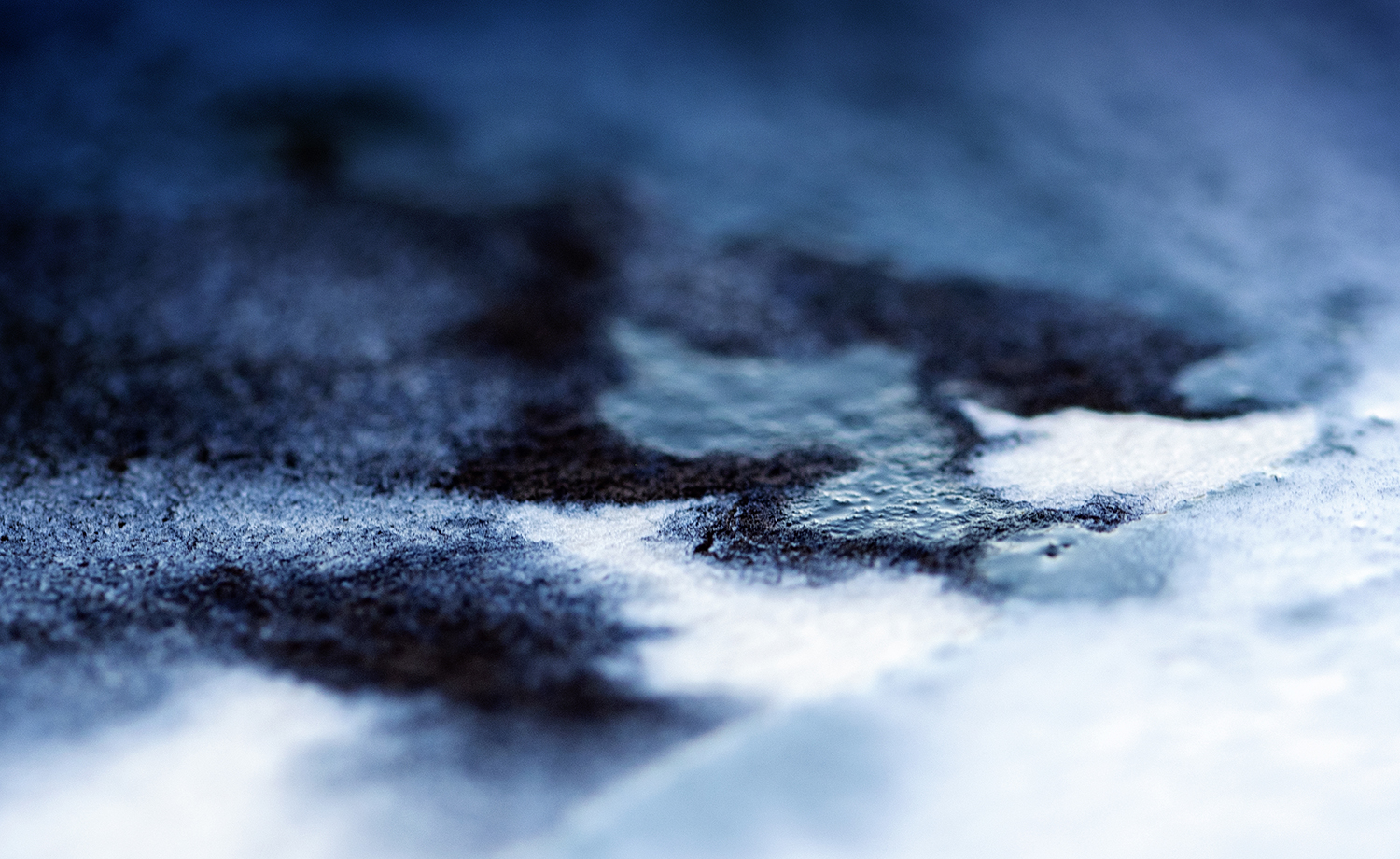 Photographie par Aurélie Rivière, photographe professionnelle à l'Ile de la Réunion