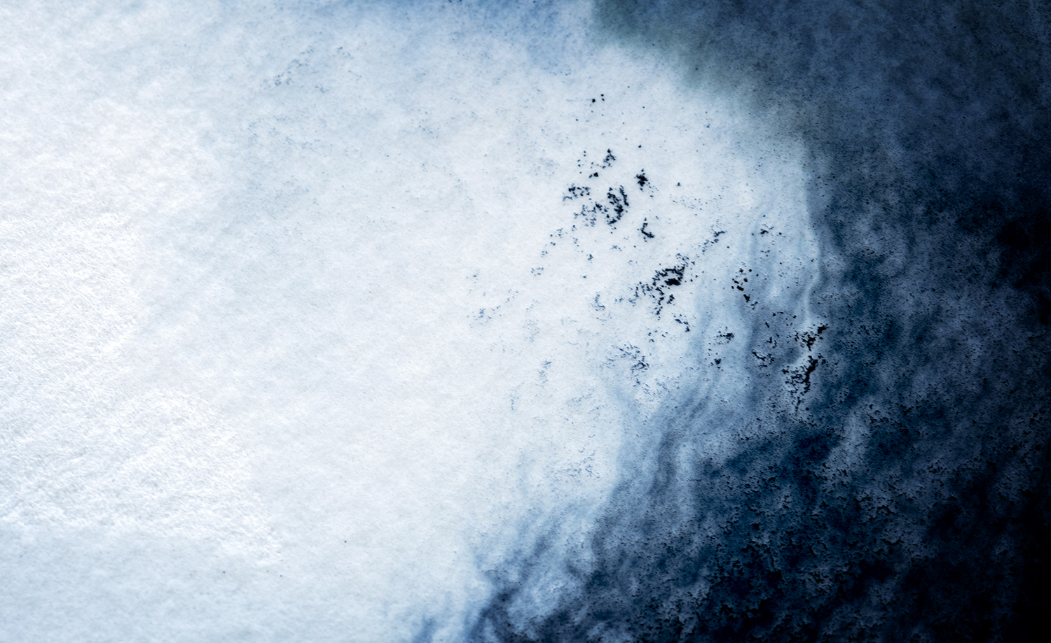 Photographie par Aurélie Rivière, photographe professionnelle à l'Ile de la Réunion