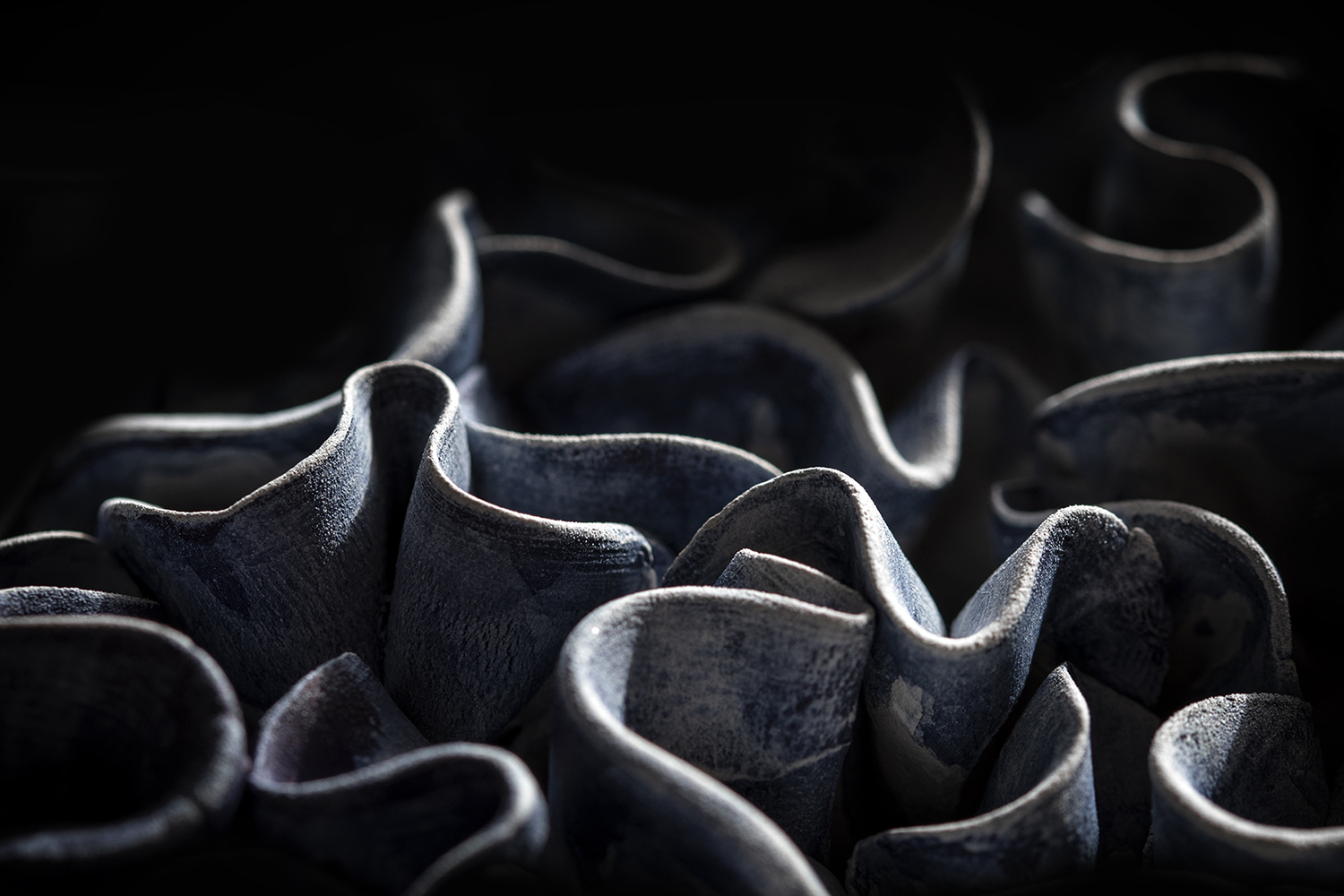 Photographie par Aurélie Rivière, photographe professionnelle à l'Ile de la Réunion